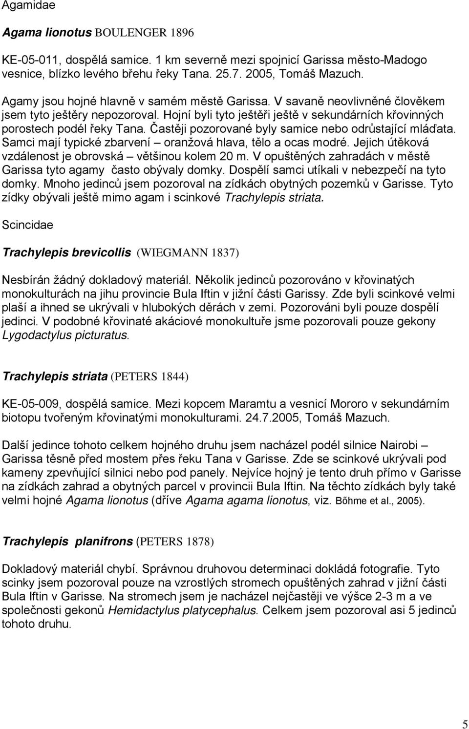 Častěji pozorované byly samice nebo odrůstající mláďata. Samci mají typické zbarvení oranžová hlava, tělo a ocas modré. Jejich útěková vzdálenost je obrovská většinou kolem 20 m.