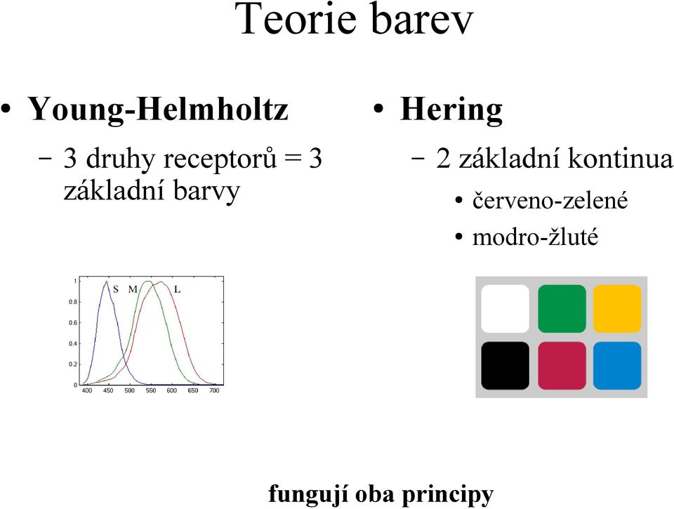 Hering 2 základní kontinua