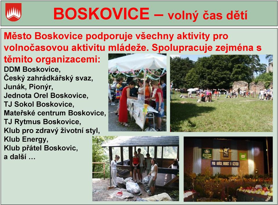 Spolupracuje zejména s těmito organizacemi: DDM Boskovice, Český zahrádkářský svaz, Junák,