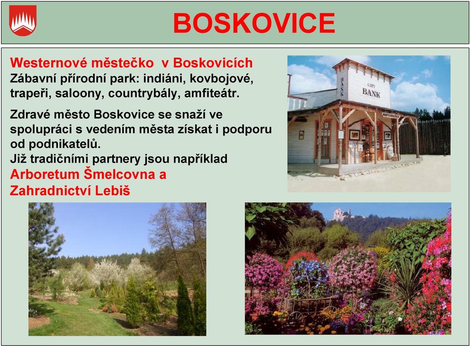 Zdravé město Boskovice se snaží ve spolupráci s vedením města získat i