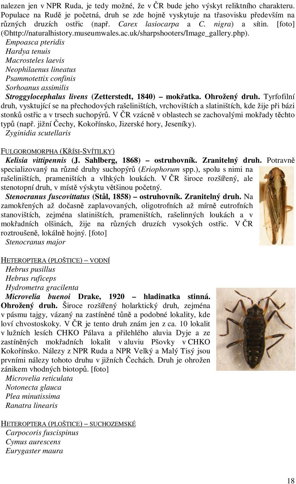 Empoasca pteridis Hardya tenuis Macrosteles laevis Neophilaenus lineatus Psammotettix confinis Sorhoanus assimilis Stroggylocephalus livens (Zetterstedt, 1840) mokřatka. Ohrožený druh.