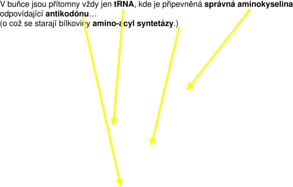 aminokyselina odpovídající antikodónu