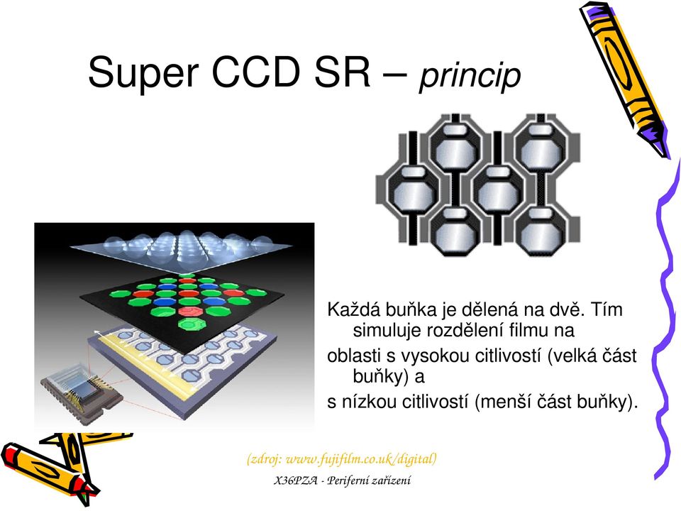 citlivostí (velká část buňky) a s nízkou citlivostí (menší