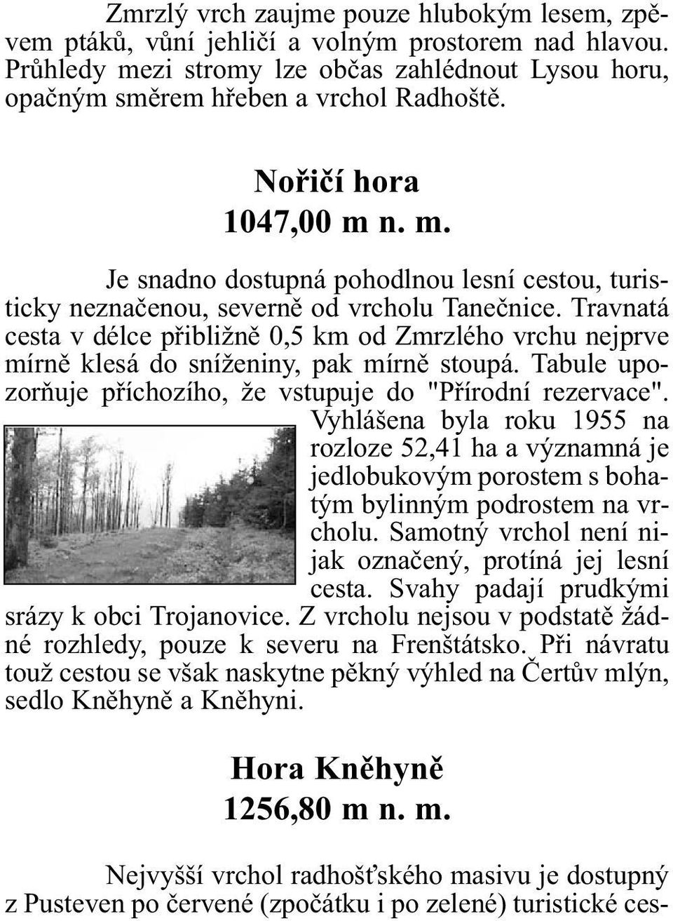 Travnatá cesta v délce pøibližnì 0,5 km od Zmrzlého vrchu nejprve mírnì klesá do sníženiny, pak mírnì stoupá. Tabule upozoròuje pøíchozího, že vstupuje do "Pøírodní rezervace".