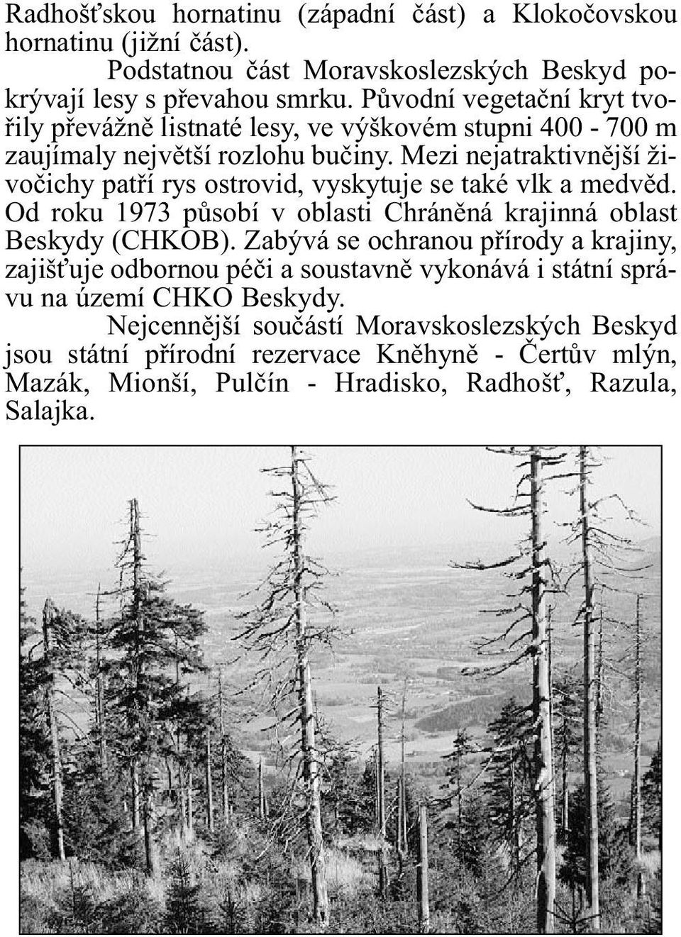 Mezi nejatraktivnìjší živoèichy patøí rys ostrovid, vyskytuje se také vlk a medvìd. Od roku 1973 pùsobí v oblasti Chránìná krajinná oblast Beskydy (CHKOB).