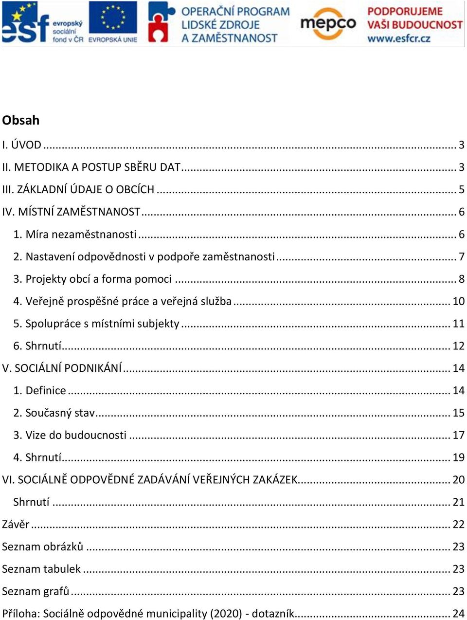 Spolupráce s místními subjekty... 11 6. Shrnutí... 12 V. SOCIÁLNÍ PODNIKÁNÍ... 14 1. Definice... 14 2. Současný stav... 15 3. Vize do budoucnosti... 17 4. Shrnutí... 19 VI.