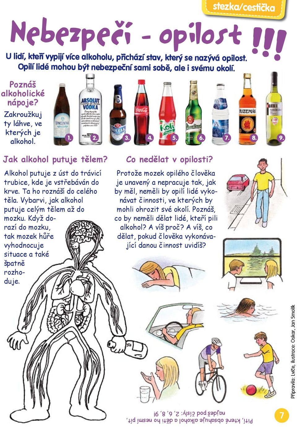 Vybarvi, jak alkohol putuje celým tělem až do mozku. Když dorazí do mozku, tak mozek hůře vyhodnocuje si tuace a také špatně rozhoduje. Co nedělat v opilosti?