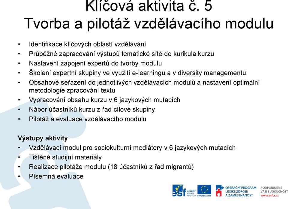 tvorby modulu Školení expertní skupiny ve využití e-learningu a v diversity managementu Obsahové seřazení do jednotlivých vzdělávacích modulů a nastavení optimální metodologie