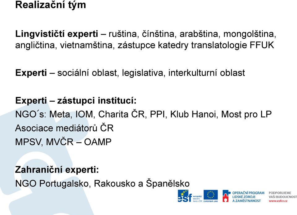 interkulturní oblast Experti zástupci institucí: NGO s: Meta, IOM, Charita ČR, PPI, Klub Hanoi,