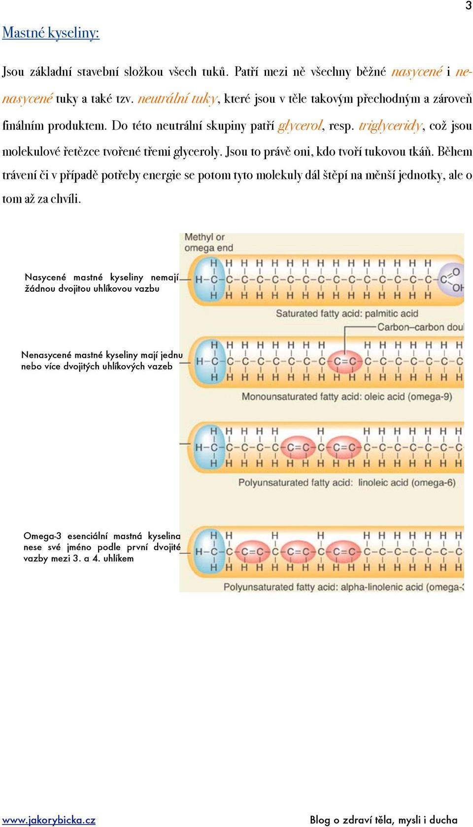 triglyceridy, což jsou molekulové řetězce tvořené třemi glyceroly. Jsou to právě oni, kdo tvoří tukovou tkáň.