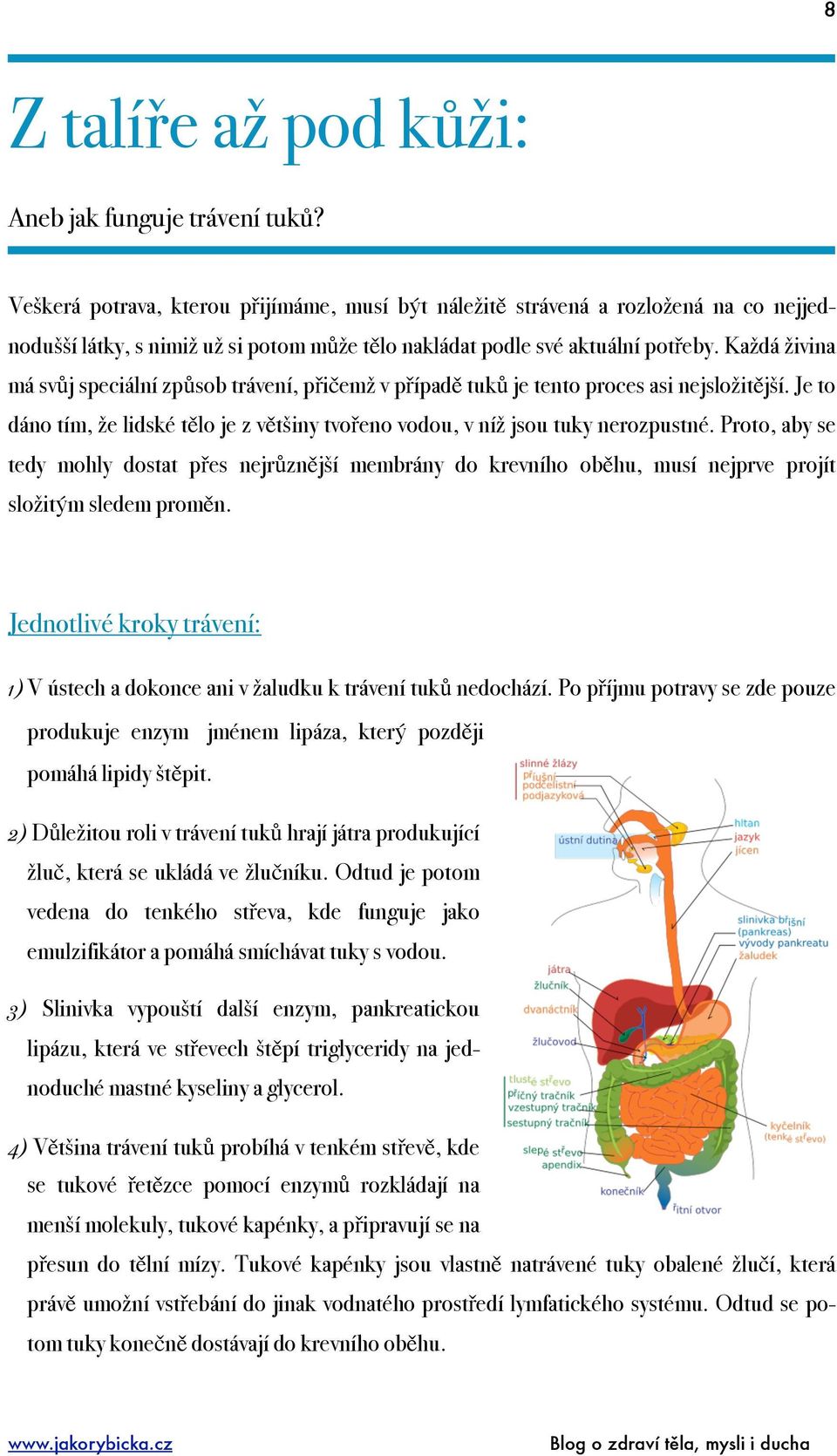 Každá živina má svůj speciální způsob trávení, přičemž v případě tuků je tento proces asi nejsložitější. Je to dáno tím, že lidské tělo je z většiny tvořeno vodou, v níž jsou tuky nerozpustné.