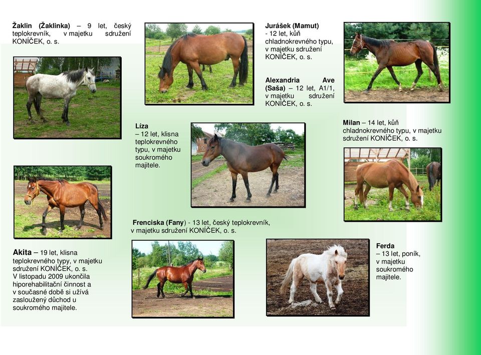 s. Akita 19 let, klisna teplokrevného typy, v majetku sdružení KONÍČEK, o. s. V listopadu 2009 ukončila hiporehabilitační činnost a v současné době si užívá zasloužený důchod u soukromého majitele.