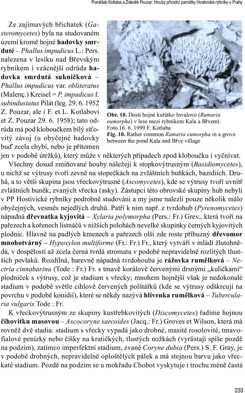 1952 Z. Pouzar, ale i. et L. Kotlabovi et Z. Pouzar 29. 6. 1958); tato odrùda má pod klobouèkem bílý sí ovitý závoj (u obyèejné hadovky buï zcela chybí, nebo je pøítomen Obr. 10.
