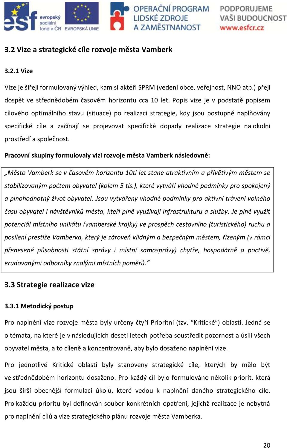 Popis vize je v podstatě popisem cílového optimálního stavu (situace) po realizaci strategie, kdy jsou postupně naplňovány specifické cíle a začínají se projevovat specifické dopady realizace