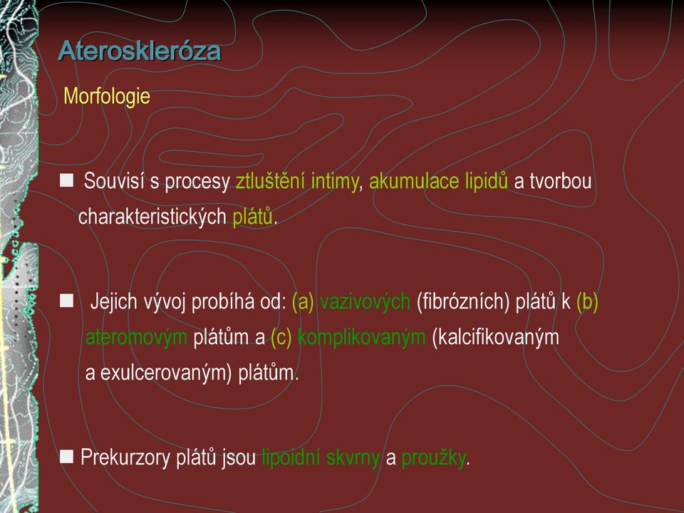 Jejich vývoj probíhá od: (a) vazivových (fibrózních) plátů k (b) ateromovým