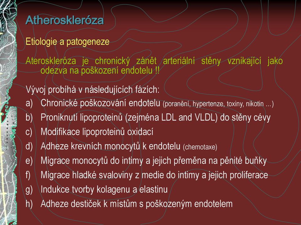 LDL and VLDL) do stěny cévy c) Modifikace lipoproteinů oxidací d) Adheze krevních monocytů k endotelu (chemotaxe) e) Migrace monocytů do intimy a jejich