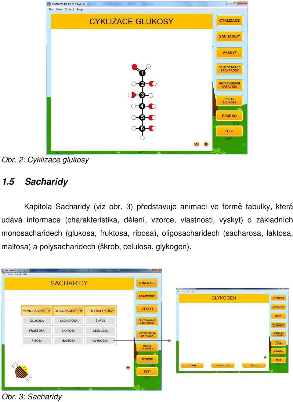 vzorce, vlastnosti, výskyt) o základních monosacharidech (glukosa, fruktosa, ribosa),