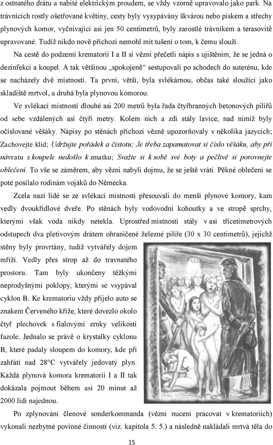 Tudíž nikdo nově příchozí nemohl mít tušení o tom, k čemu slouží. Na cestě do podzemí krematorií I a II si vězni přečetli nápis s ujištěním, že se jedná o dezinfekci a koupel.