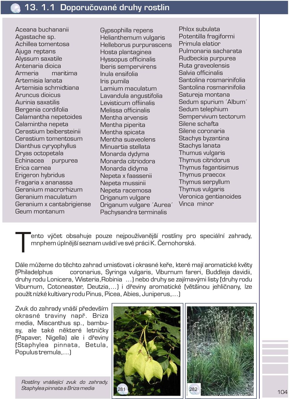 Calamintha nepeta Cerastium beibersteinii Cerastium tomentosum Dianthus cyryophyllus Dryas octopetala Echinacea purpurea Erica carnea Erigeron hybridus Fragaria x ananassa Geranium macrorhizum