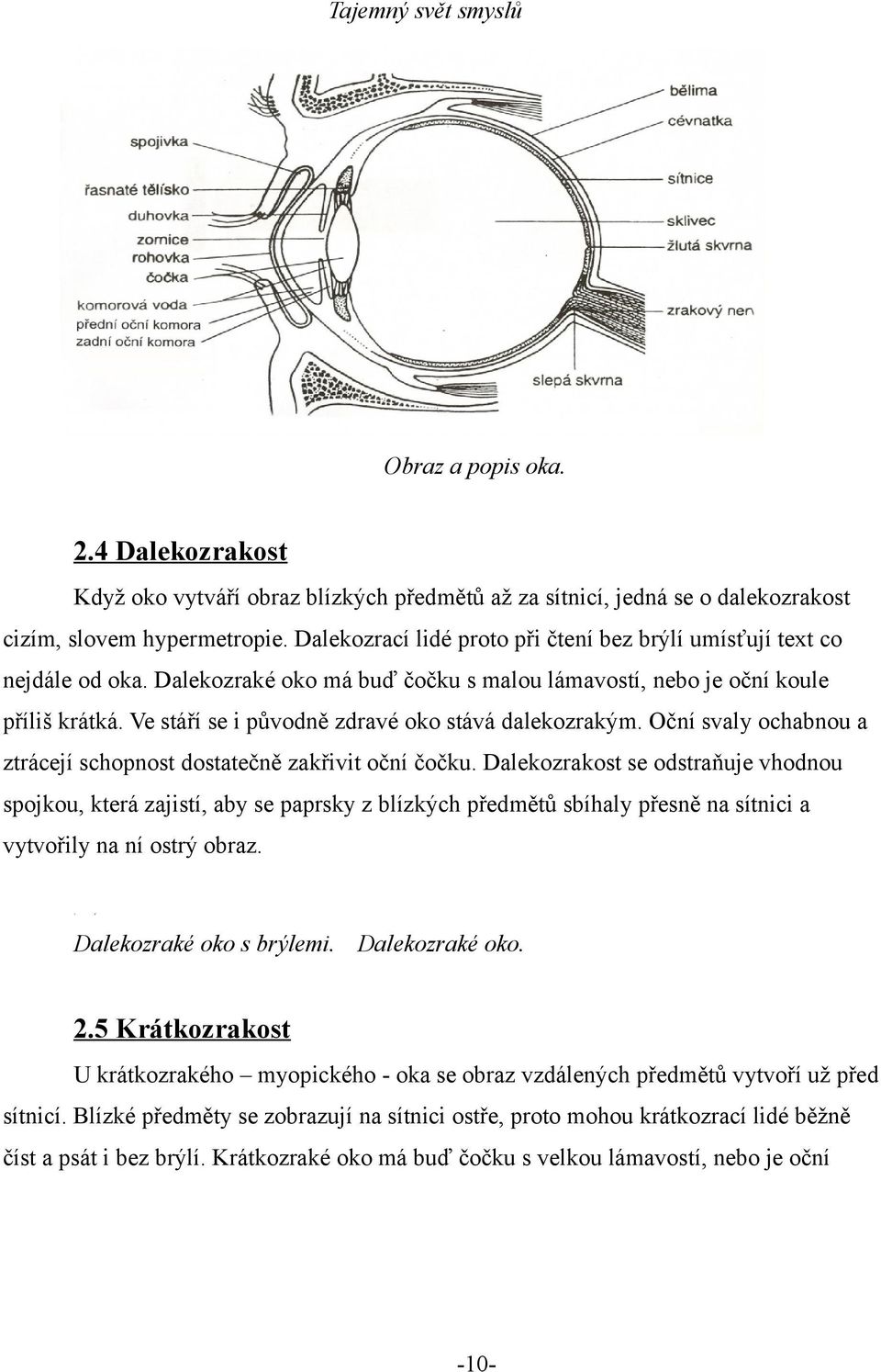 Ve stáří se i původně zdravé oko stává dalekozrakým. Oční svaly ochabnou a ztrácejí schopnost dostatečně zakřivit oční čočku.