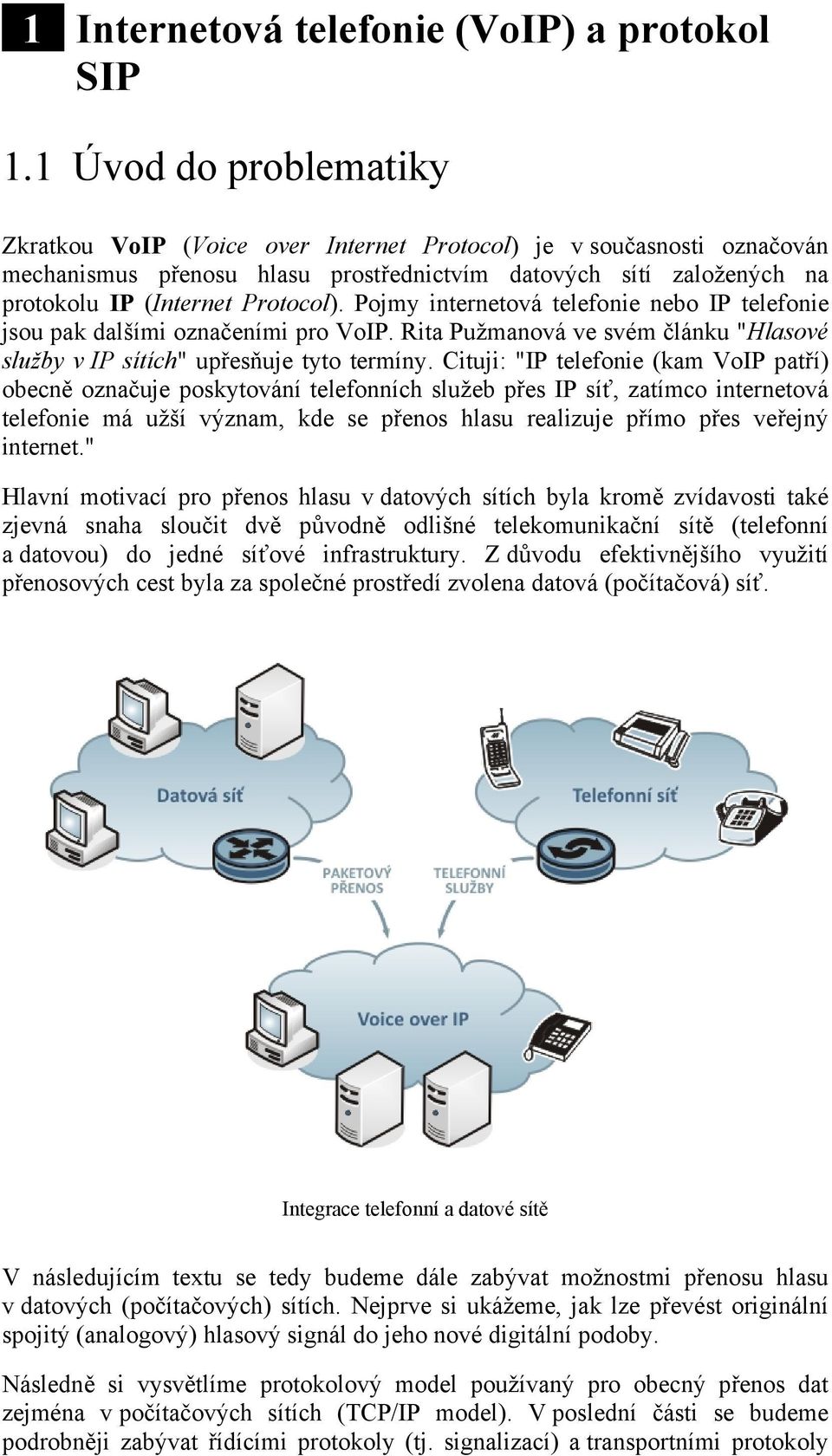 Pojmy internetová telefonie nebo IP telefonie jsou pak dalšími označeními pro VoIP. Rita Pužmanová ve svém článku "Hlasové služby v IP sítích" upřesňuje tyto termíny.