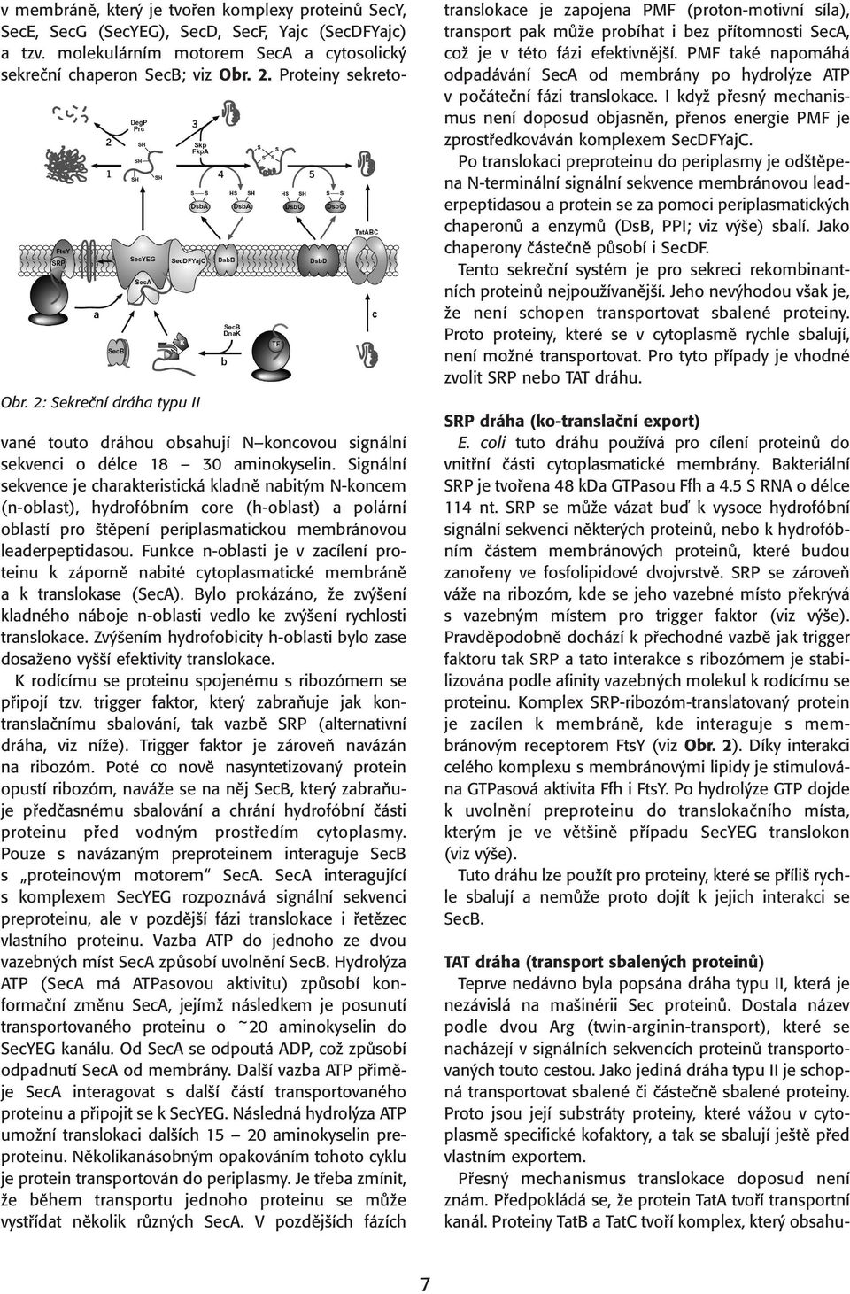 Signální sekvence je charakteristická kladně nabitým N-koncem (n-oblast), hydrofóbním core (h-oblast) a polární oblastí pro štěpení periplasmatickou membránovou leaderpeptidasou.