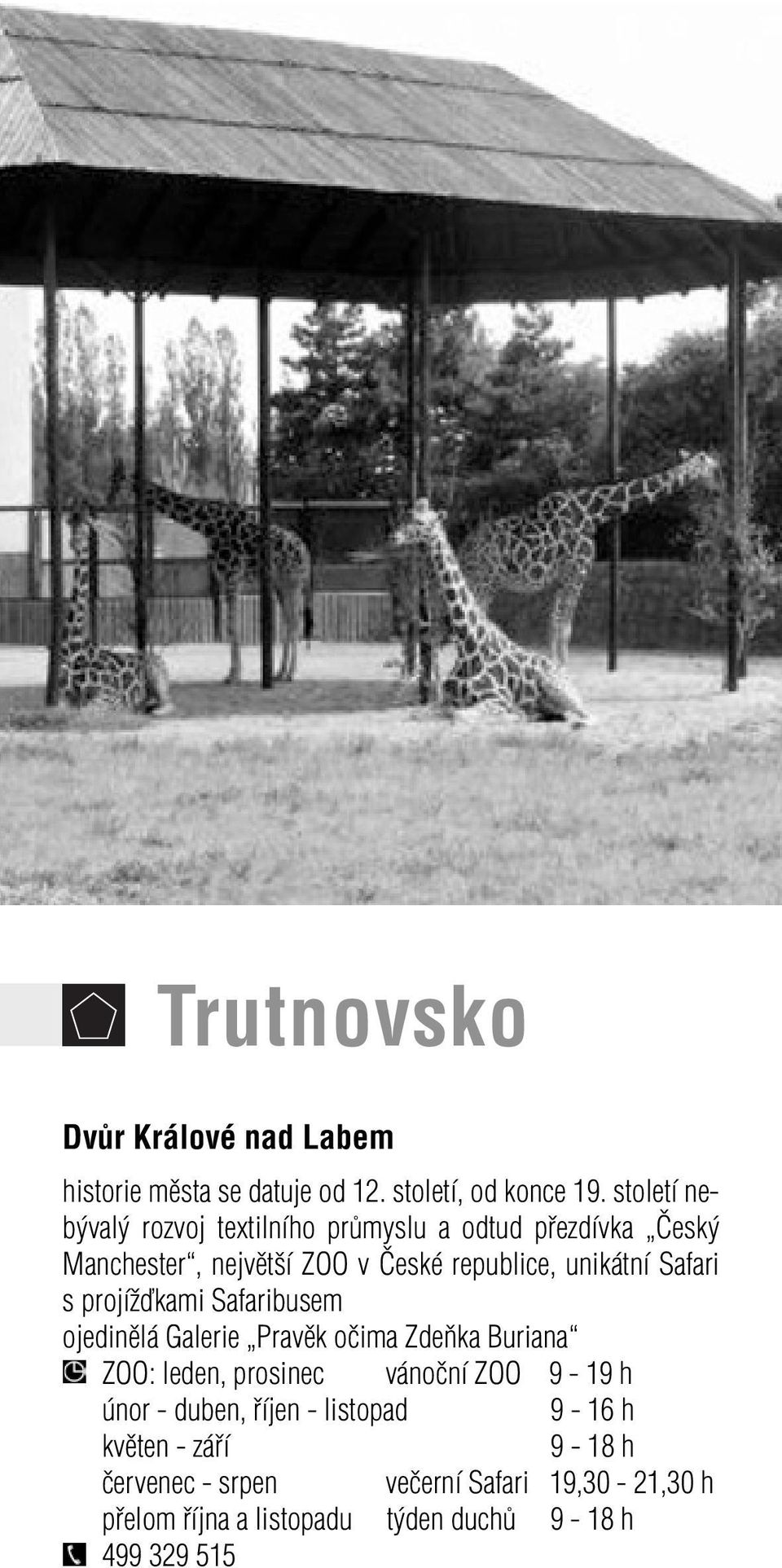 Safari s projížďkami Safaribusem ojedinělá Galerie Pravěk očima Zdeňka Buriana ZOO: leden, prosinec vánoční ZOO 9-19 h