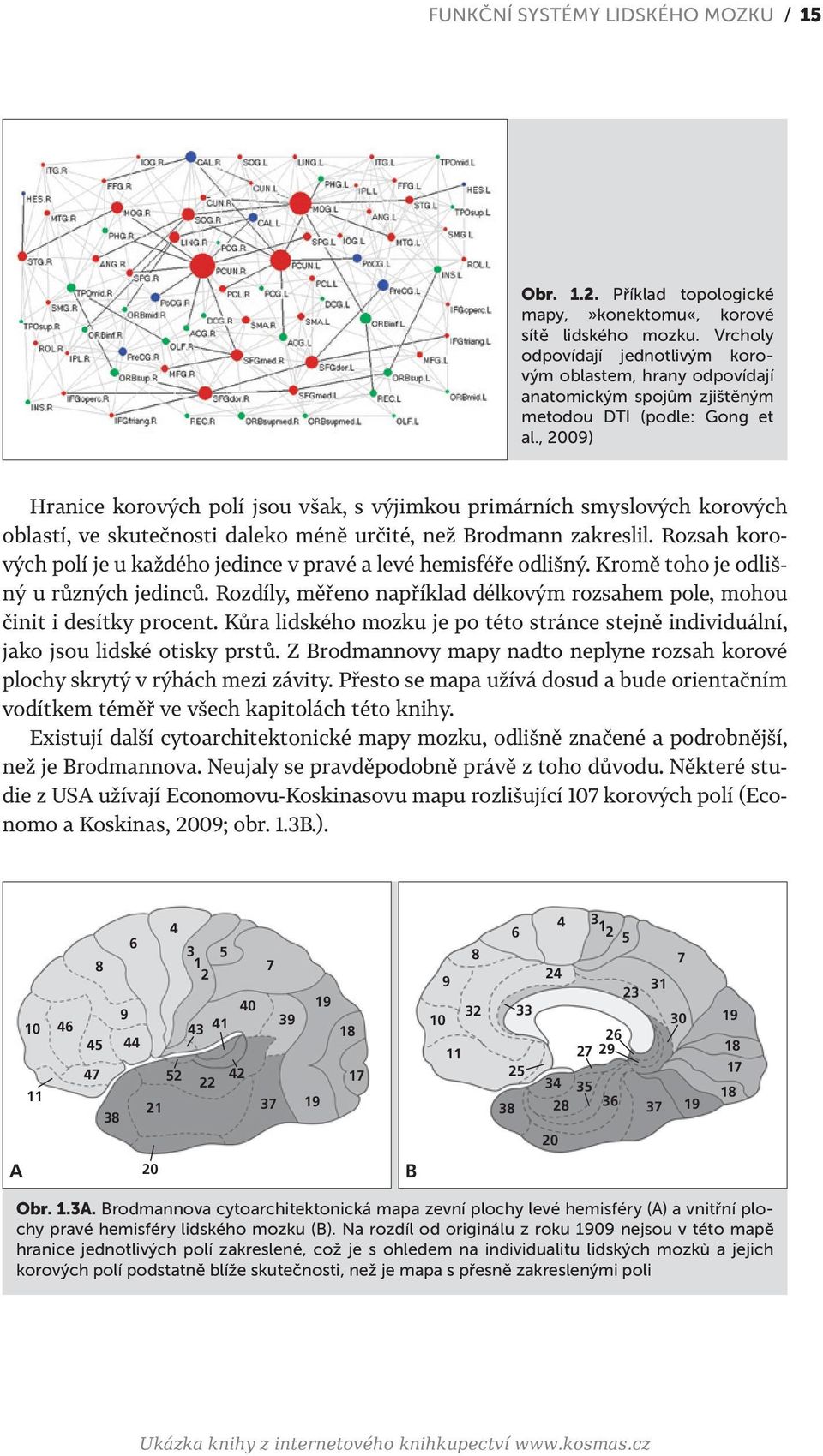 , 2009) Hranice korových polí jsou však, s výjimkou primárních smyslových korových oblastí, ve skutečnosti daleko méně určité, než Brodmann zakreslil.