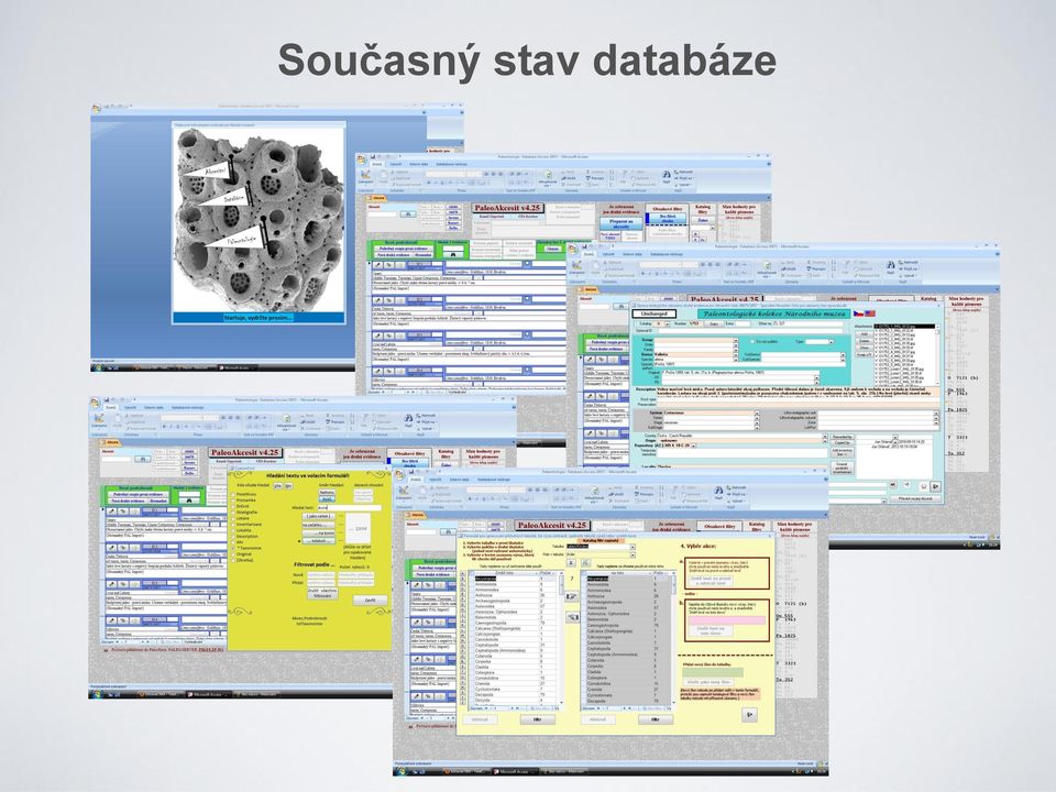 databáze