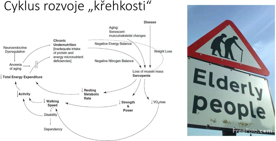 křehkosti