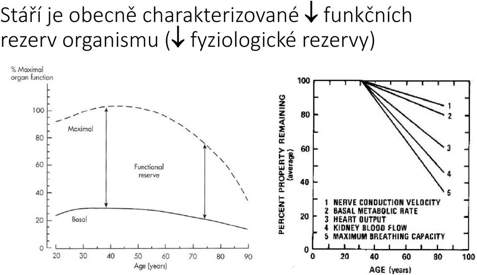 funkčních rezerv