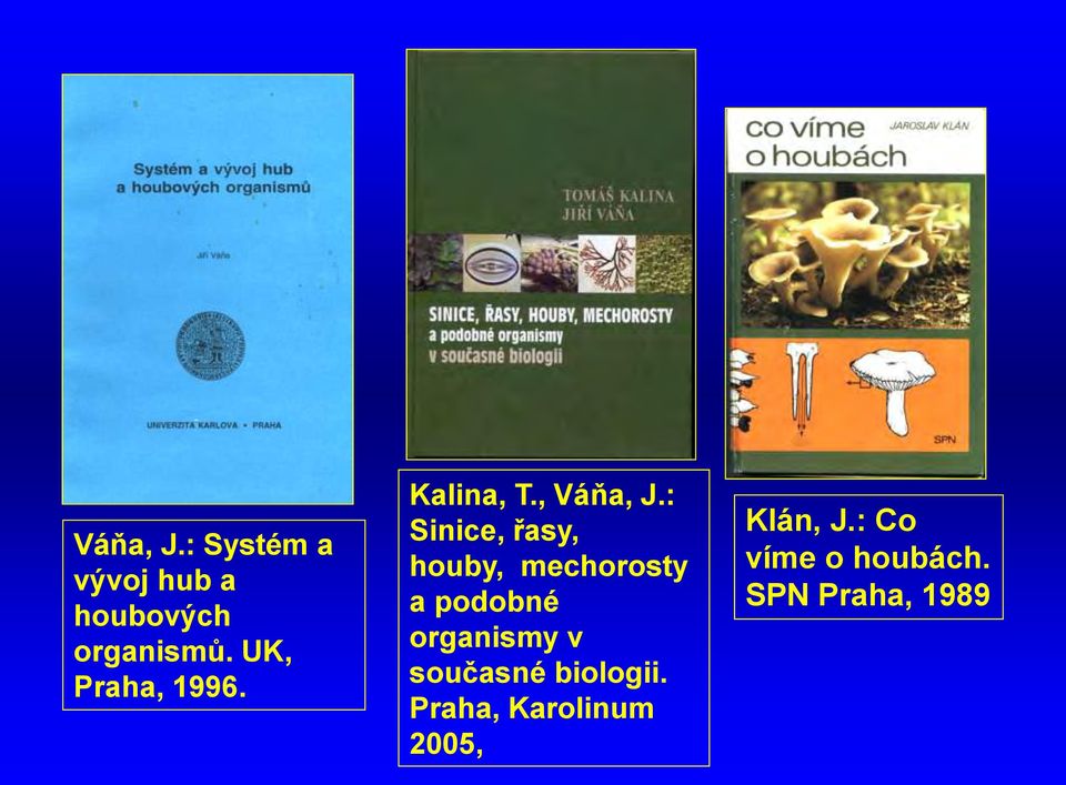 : Sinice, řasy, houby, mechorosty a podobné organismy v