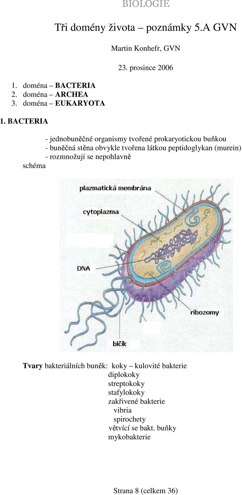 prosince 2006 - jednobuněčné organismy tvořené prokaryotickou buňkou - buněčná stěna obvykle tvořena látkou