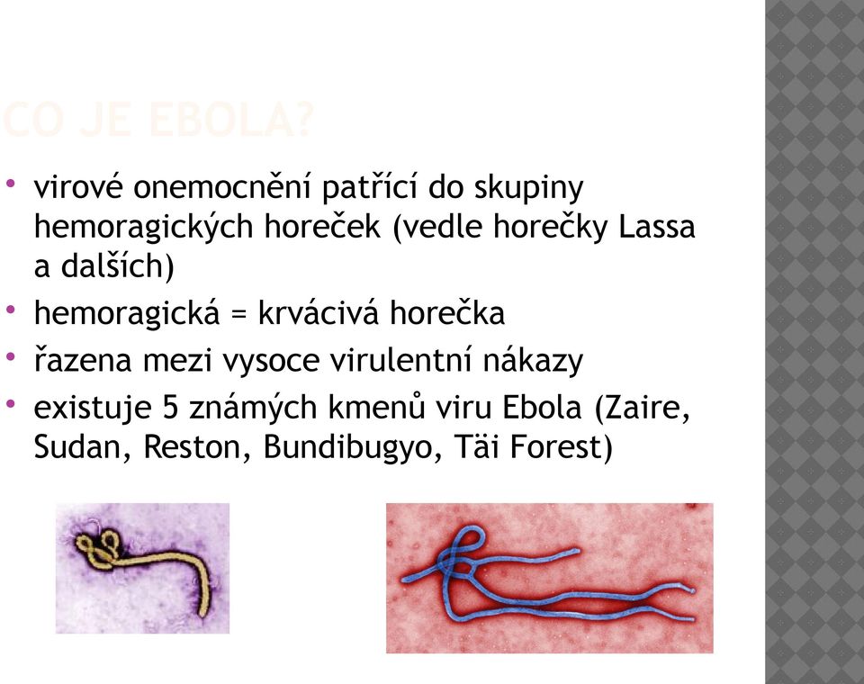 (vedle horečky Lassa a dalších) hemoragická = krvácivá horečka