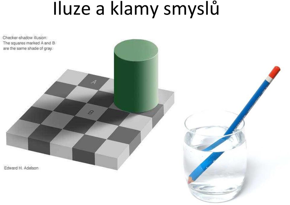 smyslů