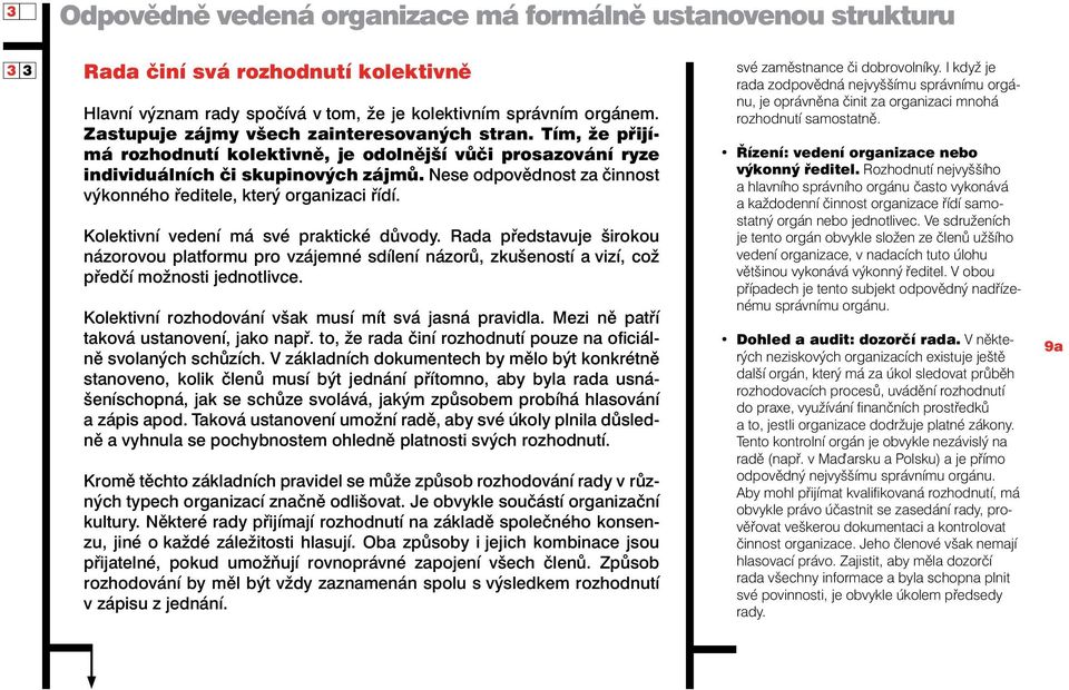 Nese odpovědnost za činnost výkonného ředitele, který organizaci řídí. Kolektivní vedení má své praktické důvody.