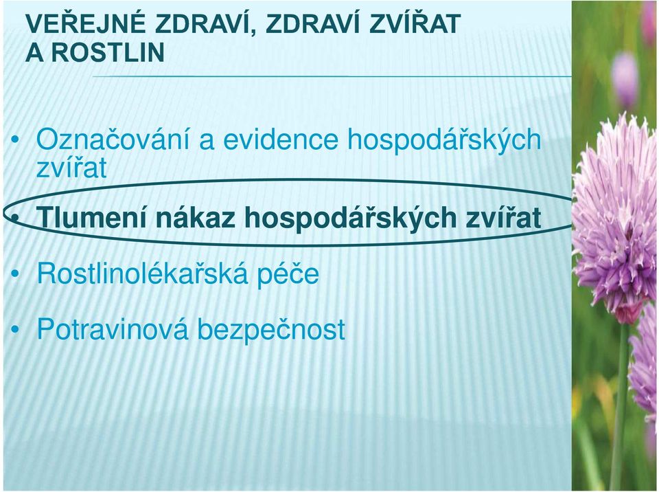 nákaz hospodářských zvířat