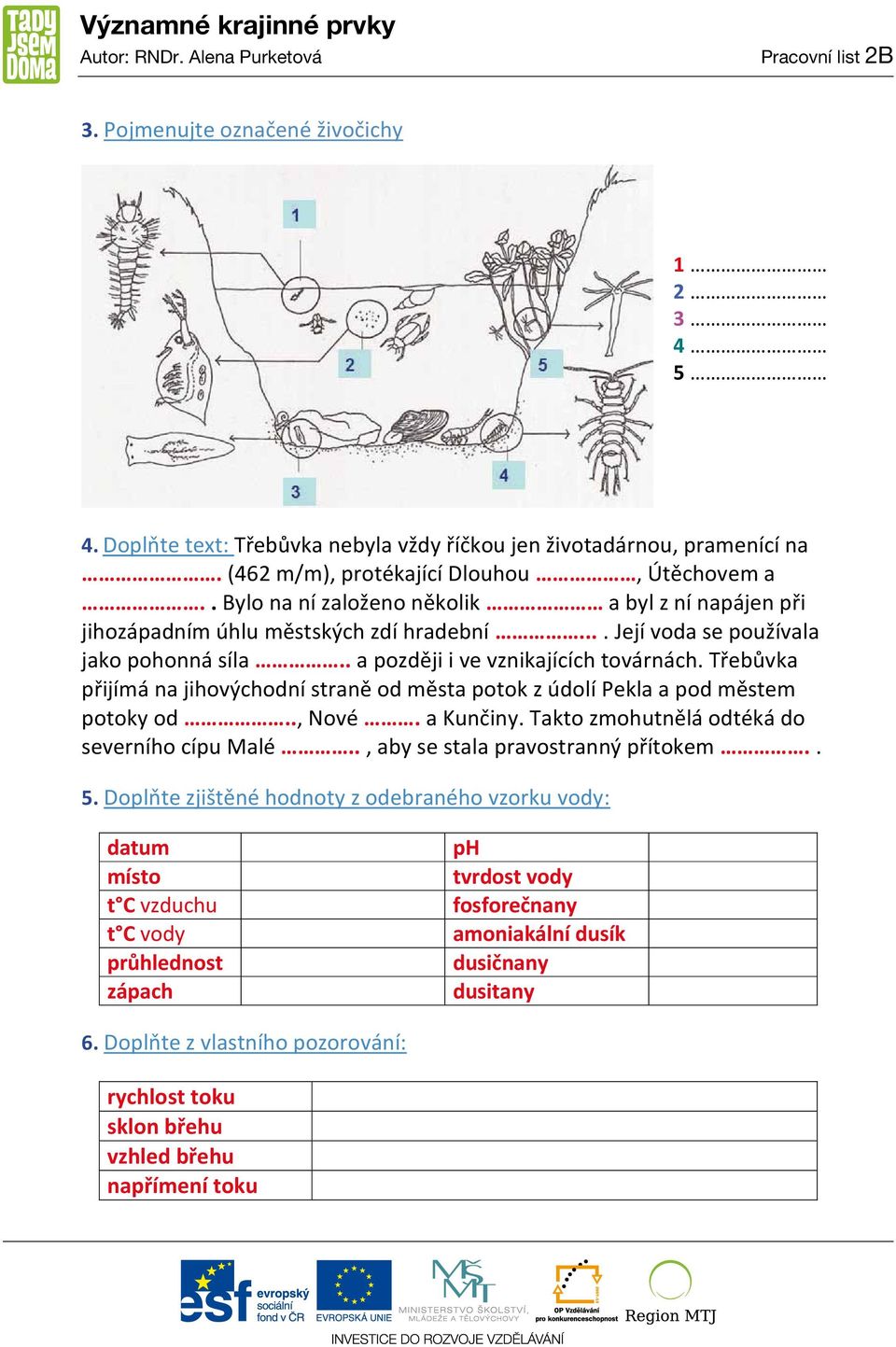 Třebůvka přijímá na jihovýchodní straně od města potok z údolí Pekla a pod městem potoky od.., Nové. a Kunčiny. Takto zmohutnělá odtéká do severního cípu Malé.., aby se stala pravostranný přítokem.. 5.