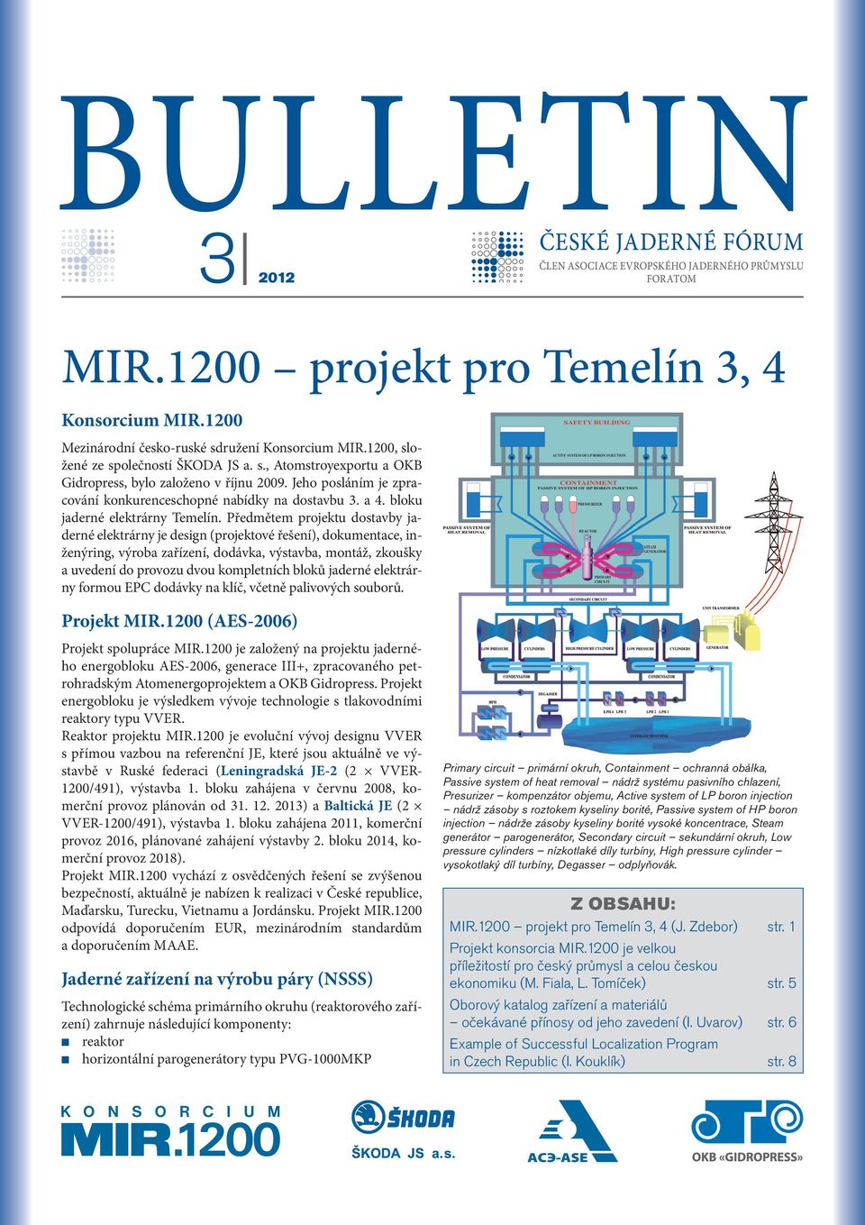 Předmětem projektu dostavby jaderné elektrárny je design (projektové řešení), dokumentace, inženýring, výroba zařízení, dodávka, výstavba, montáž, zkoušky a uvedení do provozu dvou kompletních bloků