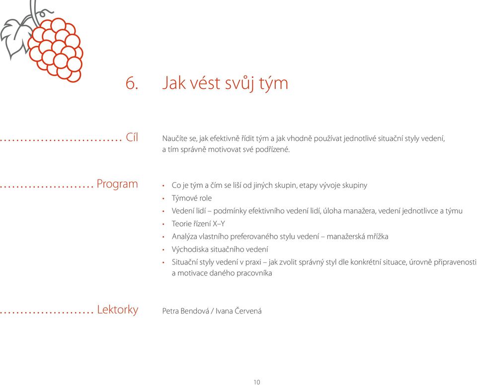 Program Co je tým a čím se liší od jiných skupin, etapy vývoje skupiny Týmové role Vedení lidí podmínky efektivního vedení lidí, úloha manažera, vedení