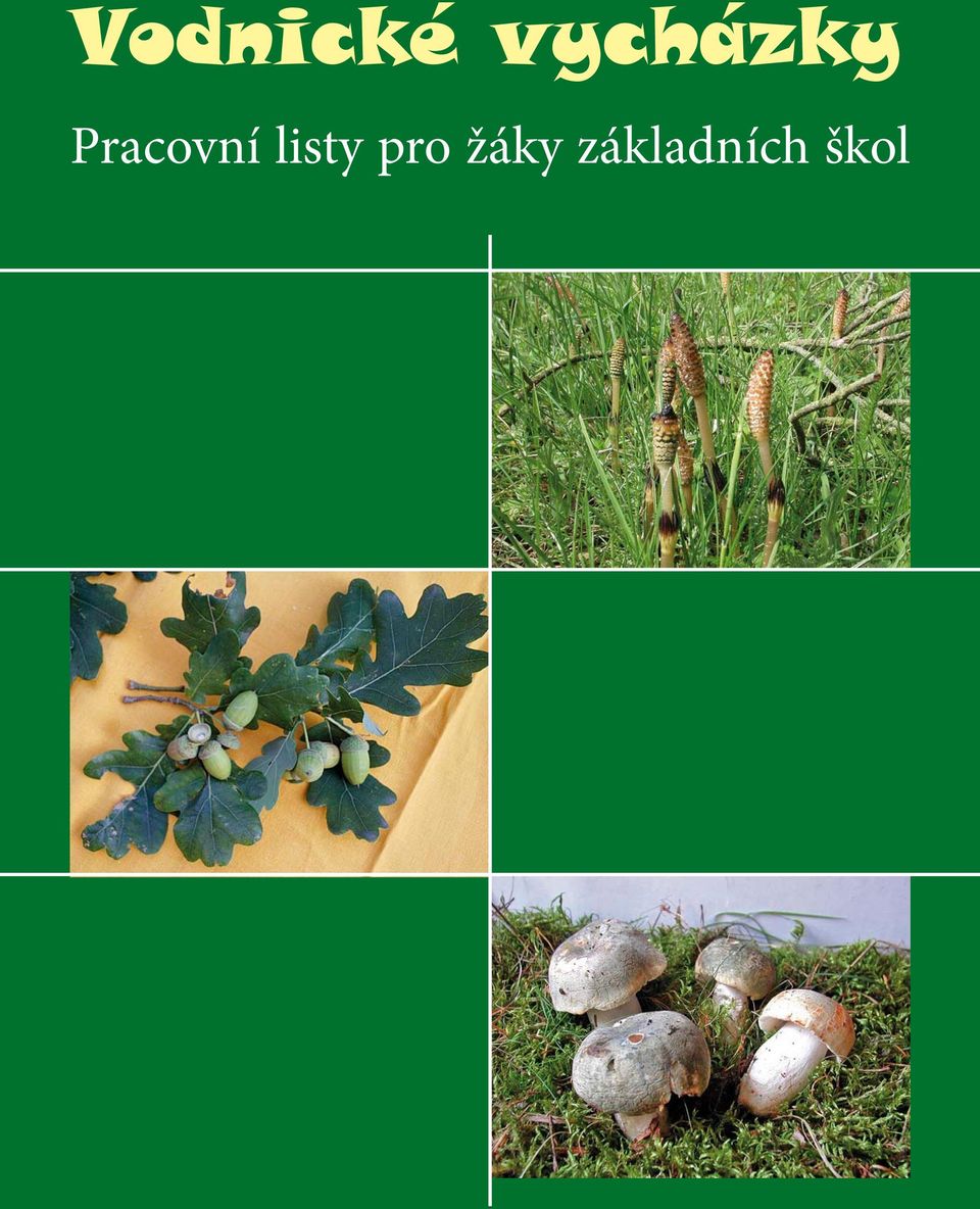 Pracovní listy