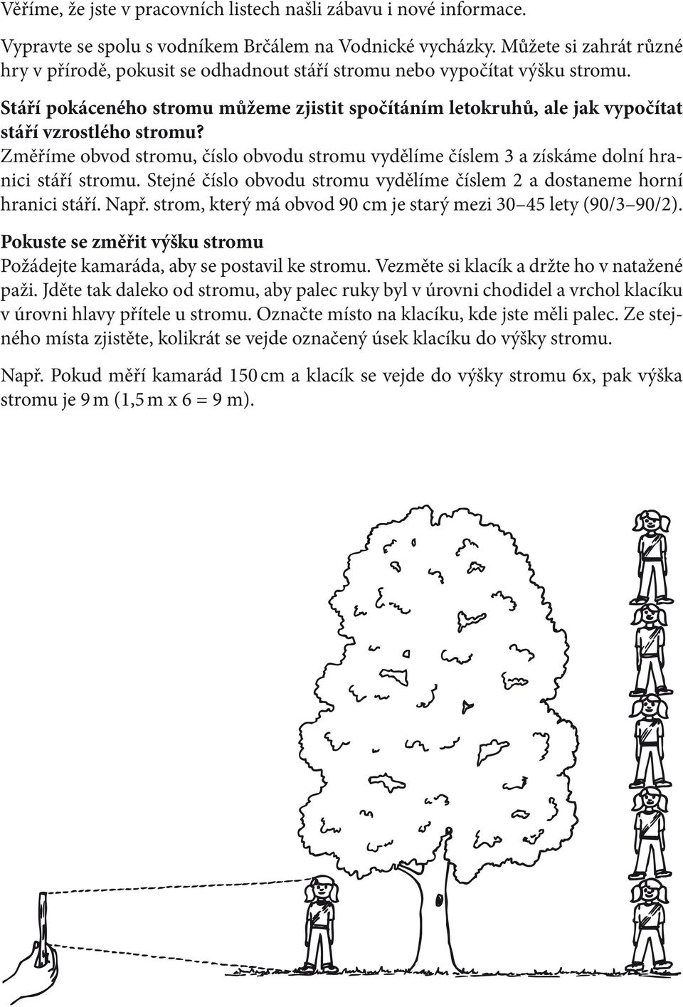 Stáří pokáceného stromu můžeme zjistit spočítáním letokruhů, ale jak vypočítat stáří vzrostlého stromu?