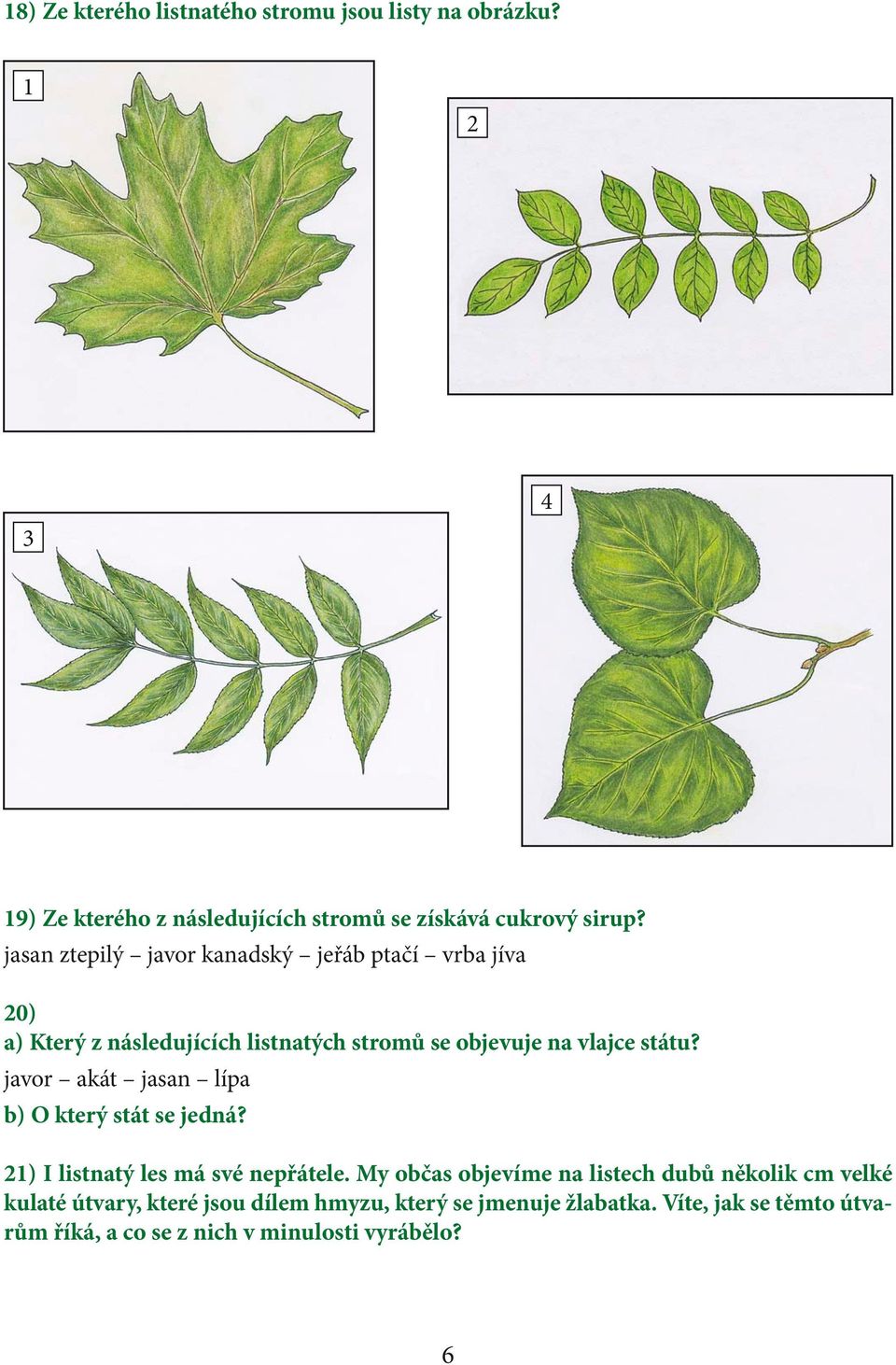 javor akát jasan lípa b) O který stát se jedná? 21) I listnatý les má své nepřátele.
