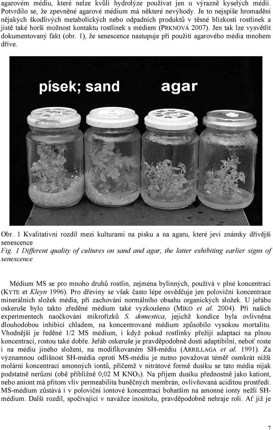 Jen tak lze vysvětlit dokumentovaný fakt (obr. 1), že senescence nastupuje při použití agarového média mnohem dříve. Obr.