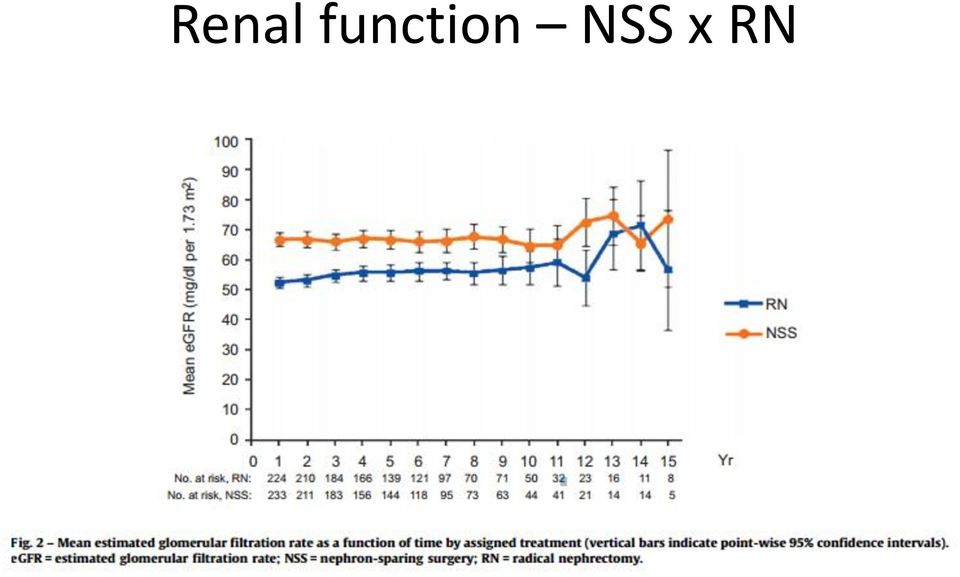 NSS x RN