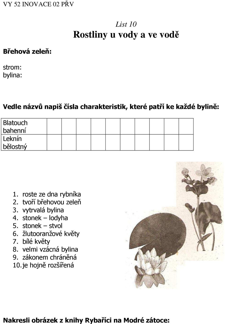 tvoří břehovou zeleň 3. vytrvalá bylina 4. stonek lodyha 5. stonek stvol 6. žlutooranžové květy 7.