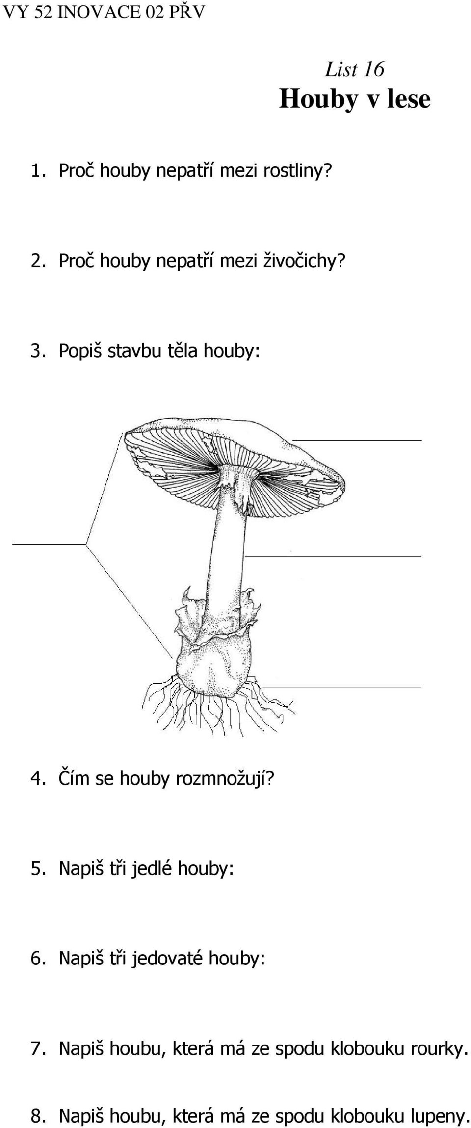 Čím se houby rozmnožují? 5. Napiš tři jedlé houby: 6.