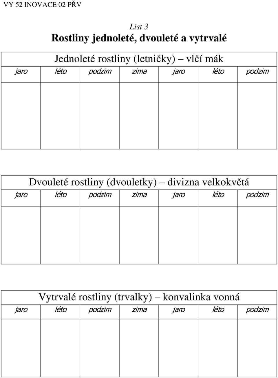 rostliny (dvouletky) divizna velkokvětá jaro léto podzim zima jaro léto