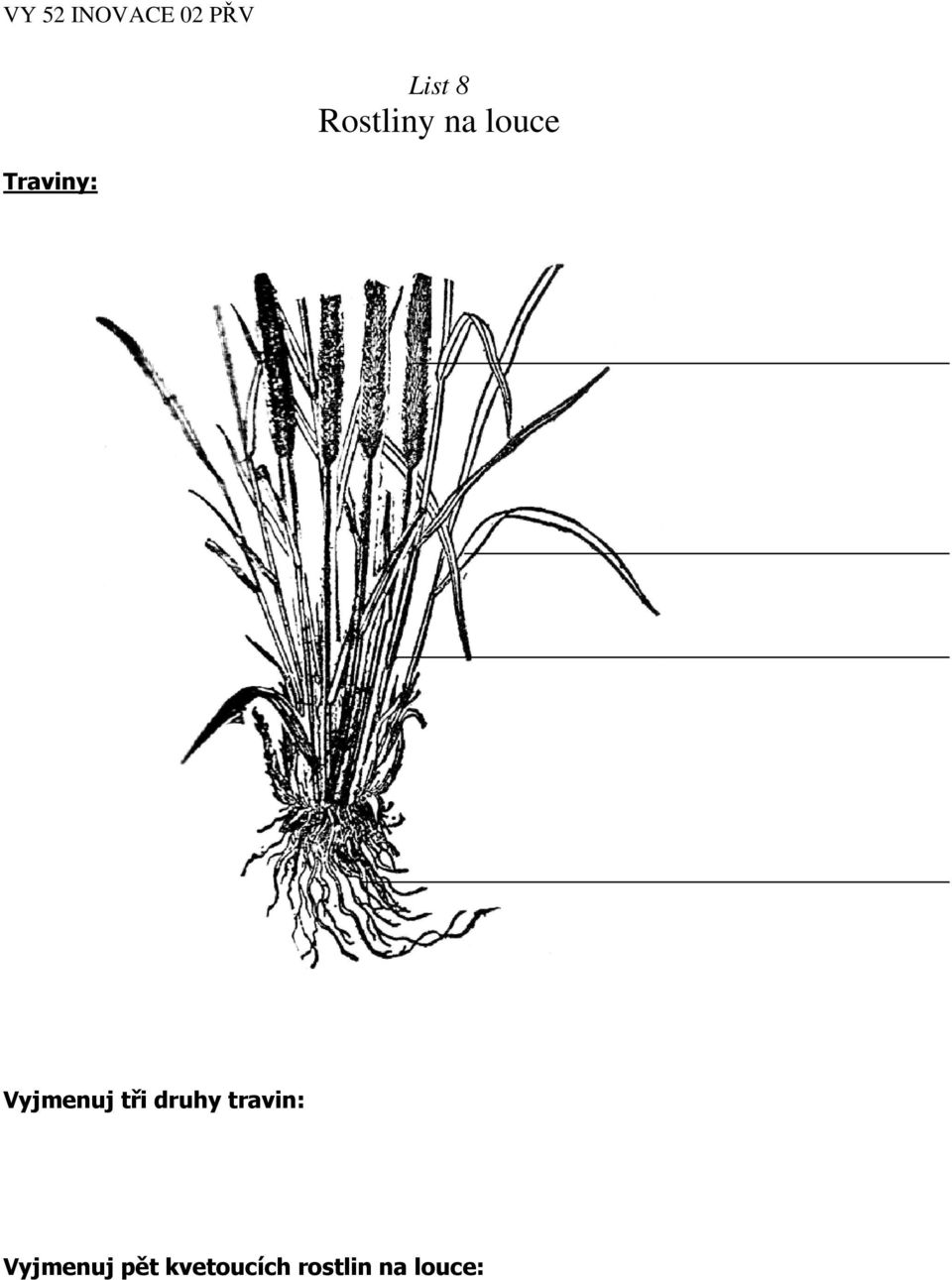 druhy travin: Vyjmenuj