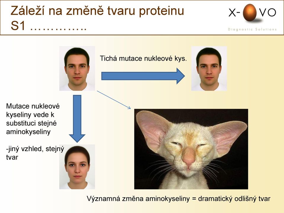 Mutace nukleové kyseliny vede k substituci stejné